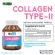 Collgen Type II x 3 bottles of Biocap Collagen Type Typyap Type 2 Type Type2 Collagen Typh 2