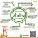 S.H. PLUS Weight Dietary Supplement