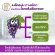 Mega We Care Grape Seed Extract 20 mg. Mega V, Care, 2 capsules grape seed extract
