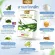VITA KELP ยาลดน้ำหนัก อาหารเสริมลดน้ำหนัก ยาลดความอ้วน ลดพุง กระชับสัดส่วนเผาผลาญไขมัน ปลอดภัย มี อย.
