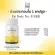 Set Body 234 Dii No.2+ BLC 30 แคปซูล + Dii No.3- BRK 30 แคปซูล + Dii No.4- BRN 30 แคปซูล
