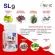SL9 x 3 ขวด สารสกัดจากกระบองเพชร พริก ส้มแขก ไคโตซาน ถั่วขาว ชาเขียว เมล็ดกาแฟไม่คั่ว  อินูวิค เอสแอลไนน์ INUVIC