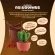 Amado Completo Cocoa Drink Amado Complete Cocoa Drink 10 sachets/box 1 box