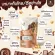 Soy protein isolate แพลนท์โปรตีนรสโกโก้ เวร่าเวย์
