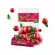 Amway Nutrilite Probiotic W Amway Nutrite Praybipa, Double U, Genuine Genuine