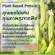 วีแกน โปรตีนกิฟฟารีน มัลติ แพลนท์ Giffarine Vegan Multi Plant Protein โปรตีนถั่วเหลืองถั่วลันเตาสีทอง ไม่มีแลคโตสไขมันคอ