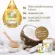 Benj Oil Fusion Oil 80 Capsules