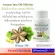 น้ำมันถั่วดาวอินคา อเมซอน กิฟฟารีน Amazon Inca Oil Giffarine