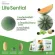 Beyonde Life Sential บียอนด์ ไลฟ์ เซนเชียล ผลิตภัณฑ์เสริมอาหารสำหรับดูแลสุขภาพ