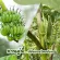 Stop the torture caused by acid reflux. The big problem repeatedly distracts, making it difficult to live life.