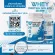 Whey protein 100% Whey Protein Isolate Pure, size 907 grams, 2 pounds, 2lbs, whey protein, drinking, free GMO, 1 bottle / can be eaten 18 times