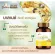 Balan DKC Curcumin