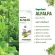 Narah Super Food Christmas Set Red Beet increased energy, nourishing the blood.