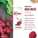 NARAH SUPER FOOD CHRISTMAS SET FOR KIDS RED BEET & GREEN JUICE สำหรับเด็กทานผักน้อย ทานผักครบ 5 สี