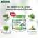 Kay Kay PLANT Protein Greens & Mix Green Inulin Plus, organic protein, green formula and vegetable powder mixed insulin.