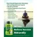 NATURELO Magnesium with Organic Veggies & Seeds 200 mg 120 Vegetarian Capsules แมกนีเซียม 120 เวจจี้แคปซูล