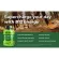 NATURELO Vegan B12 with Spirulina 90 Capsules วิตามินบี 12 ผสมสไปรูลิน่า 90 วีแกนแคปซูล