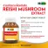 เห็ดหลินจือ x 1 ขวด สารสกัดจากเห็ดหลินจือ ไบโอแคป Reishi Mushroom Extract Biocap