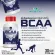 ผลิตภัณฑ์เสริมอาหาร บีซีเอเอ BCAA กรดอะมิโนสายโซ่กิ่ง 1,110 มิลลิกรัม/แคปซูล ตราวิษามิน ขนาด 1 ขวด บรรจุ 30 แคปซูล