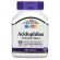Ready to deliver/authentic/have imported leaves 21st century, acidophilus probiotic blue, 100 capsules, probiotics help the digestive system Digestive system