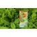 Charnn Plant Based Protein Protein, natural protein contemplation Concentrated with 100% crops from crops. Easy to eat quickly.