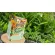 Charnn Plant Based Protein Protein, natural protein contemplation Concentrated with 100% crops from crops. Easy to eat quickly.