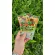 Charnn Plant Based Protein style, 100% organic protein supplement, easy to eat, mellow flavor