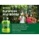 NATURELO Vitamin D3 Plant Based 5000 IU 180 Easy Swallow Capsules วิตามินดี 3 180 เวจจี้แคปซูล
