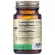 Solgar Wild Oregano Oil 60 Softgels Oil Oil Extract 60 Soft Gel