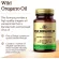 Solgar Wild Oregano Oil 60 Softgels Oil Oil Extract 60 Soft Gel