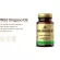 Solgar Wild Oregano Oil 60 Softgels Oil Oil Extract 60 Soft Gel