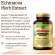 Solgar Echinacea Herb Extract 60 Vegetable Capsules Ega -kanasia 60 Weigi Capsule
