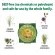 Badger Company Anti-Bug Balm Citronella & Rosemary 21 g บาล์มกันแมลง