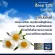 Exp8/2022 Body Shape Zeep Eze 1 bottle 15 capsule.