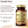 Solgar Gentle Iron 25 mg 90 Vegetable Capsules วิตามินเสริมธาตุเหล็ก 90 เวจจี้แคปซูล