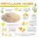 21st Century Psyllium Fiber 160 Capsules.