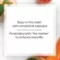 Natural Factors Apple Cider Vinegar 500 mg 180 Capsules แอปเปิ้ลไซเดอร์วีนีการ์ 180 แคปซูล