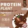 Protein Plants protein, cocoa, chocolate cocoa from 3 plants, organic protein, protein from peas, peas, instant potatoes, 1 box of powder, 7 sachets, 350 grams