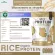 Organic Rice Protein โปรตีนจากข้าว ออร์แกนิค 100%  ปลอด GMO ปลอดกลูเตน โปรตีนสูง จำนวน 1 ถุง ปริมาณ 1,000 กรัม ทานได้ 33 ครั้ง