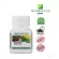 AMWAY NUTRILITE IRON FOLIC 120 TAB Amway Nutrine Spinch Plus Spinach