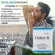 โคลีนบีกิฟฟารีน โคลีนผสม วิตามินบี วิตามินบีรวม Choline - B GIFFARINE