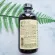 Pure Arctic Code Liver Oil Oil, Natural Strawberry Flavor 237ml Childlife®
