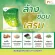 MVMALL LIV Complex Leaf Complex, food supplement, liver, detoxifying and nourishing 3 boxes of health