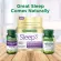 วิตามินนอนหลับ แบบเม็ดอม รสเชอร์รี่ Sleep Aids Natural Cherry Flavor 3 mg 120 Quick Dissolve Tablets Nature's Bounty® หลับเร็ว หลับลึก หลับสบาย