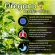 น้ำมันออริกาโนสกัด Oil of Oregano, Essential Oils 30ml Now Foods®
