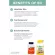 วิตามินบี 3 Niacin 100 mg 100 Tablets Puritan's Pride®