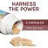 Red Ganoderma lucidum Mushrooms Reishi Longevity Support 60 Vegetarian Capsules Host Defense®