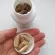 Fungiology Full-Spectrum Tail 90 Veggie Capsules California Gold Nutrition®