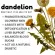 สารสกัดจากรากดอกแดนดิไลอัน Dandelion Root 1575 mg 180 Vegan Capsules Nature's Way®