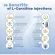 Acetil-L-Carnitine Acetyl L-Carnitine 500 MG 60 Vegan Capsules MRM®